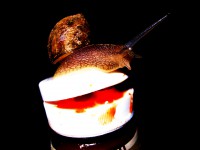 /album/www-pix-fx-de/dscn4008-copy-jpg/